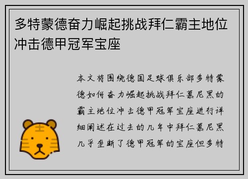 多特蒙德奋力崛起挑战拜仁霸主地位冲击德甲冠军宝座