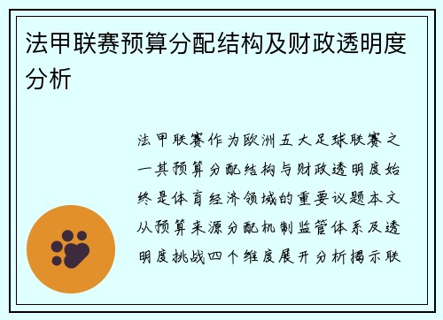 法甲联赛预算分配结构及财政透明度分析