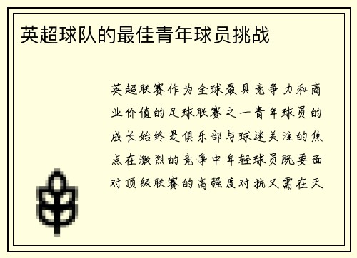 英超球队的最佳青年球员挑战