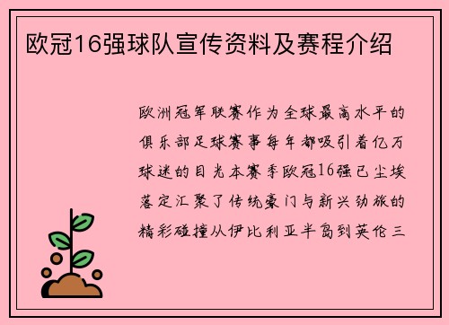 欧冠16强球队宣传资料及赛程介绍